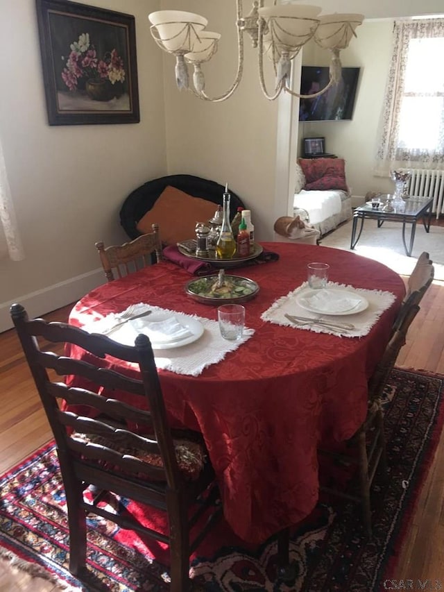 dining space with hardwood / wood-style flooring and radiator