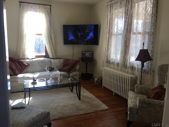 living room with hardwood / wood-style floors and radiator heating unit