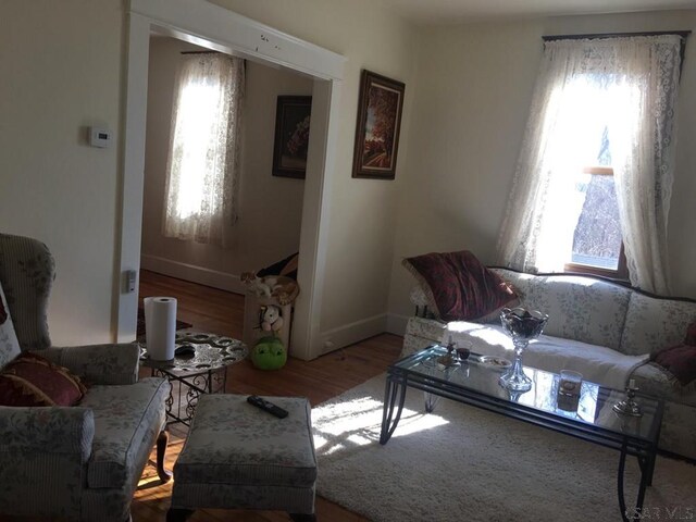 living room featuring hardwood / wood-style flooring and a wealth of natural light