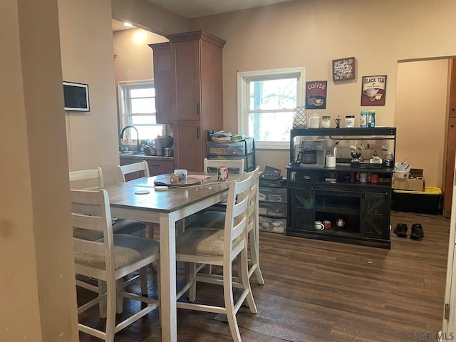 dining space with wood finished floors