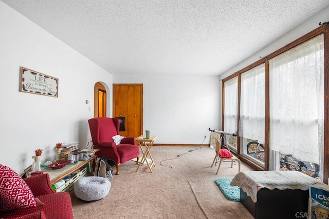 living area featuring carpet floors and a textured ceiling