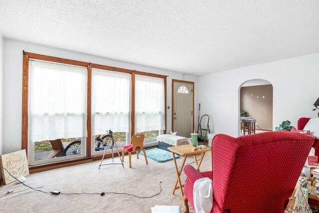 carpeted living room featuring a textured ceiling