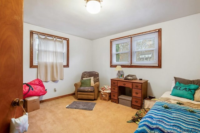 bedroom featuring light colored carpet