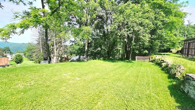 241 Grazier St, Johnstown, PA 15906 - view of yard