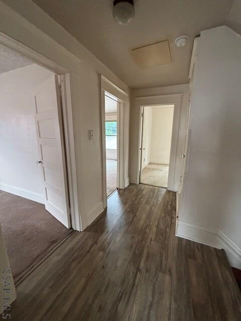 127 Langhorne Ave, Johnstown, PA 15905 - photo 9