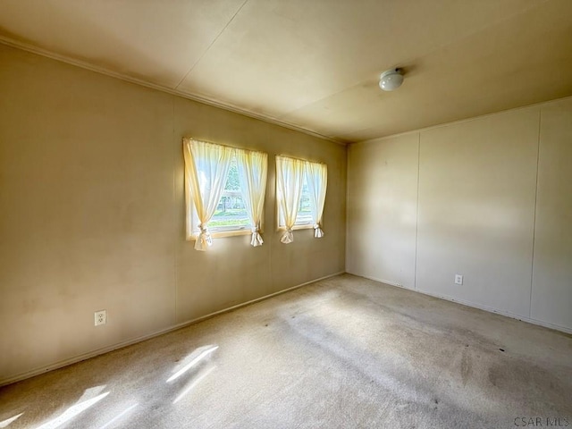 unfurnished room featuring carpet floors