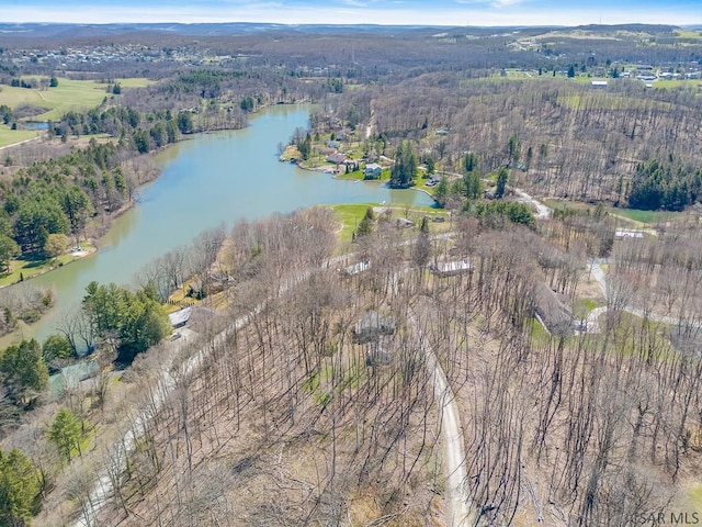 218 Rocky Ridge Rd, Jennerstown, PA 15547 - bird's eye view with a water view