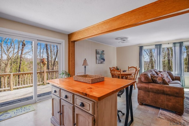 218 Rocky Ridge Rd, Jennerstown, PA 15547 - kitchen featuring wood walls, beamed ceiling, butcher block counters, a center island, and open floor plan
