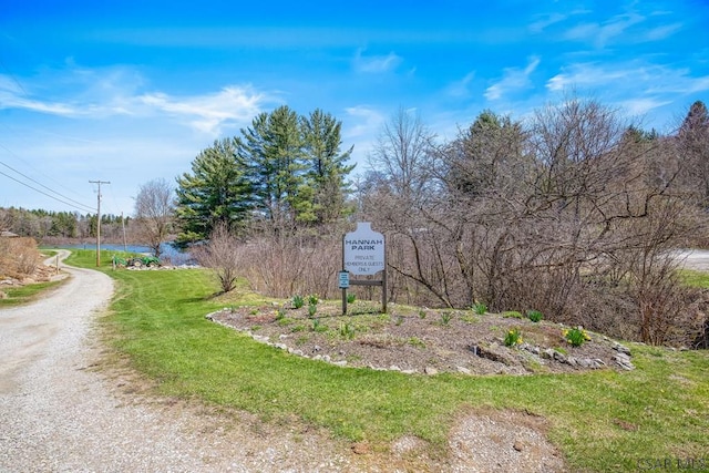 218 Rocky Ridge Rd, Jennerstown, PA 15547 - view of yard