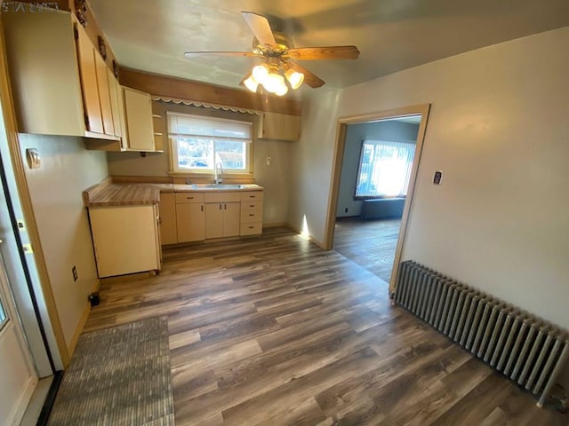 kitchen featuring a sink, a wealth of natural light, and dark wood finished floors