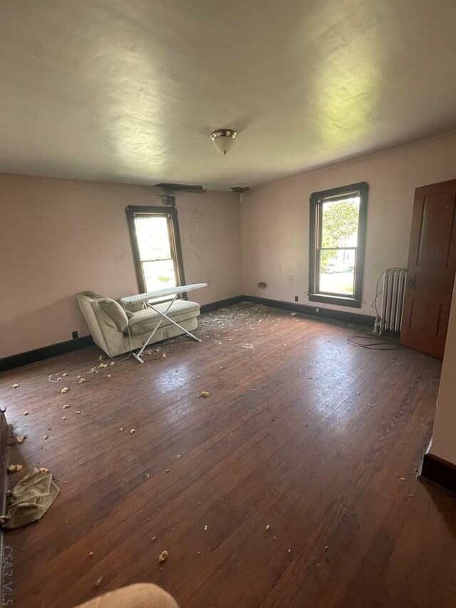 424 W Main St, Stoystown, PA 15563 - unfurnished room with hardwood / wood-style floors, plenty of natural light, and baseboards