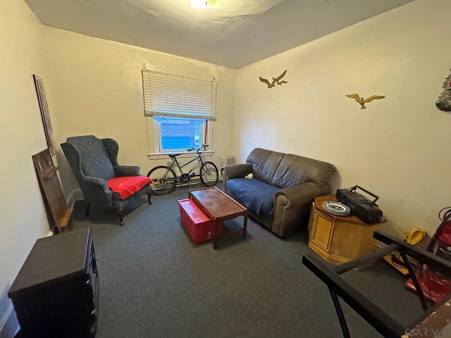 living room featuring dark carpet