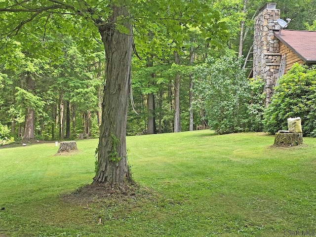 171 Summit View Ln, Fort Hill, PA 15540 - photo 29