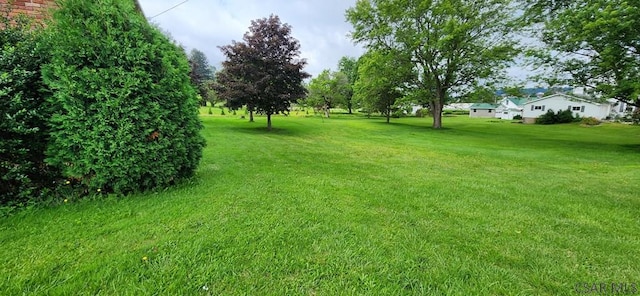 248 Plank Rd, Somerset, PA 15501 - photo 24