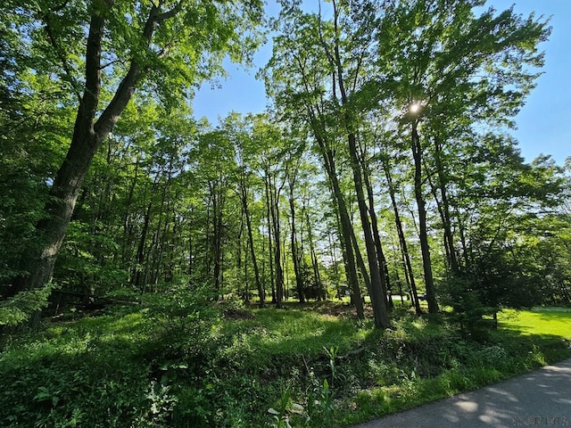1827 Saylor School Rd, Boswell, PA 15531 - view of undeveloped land