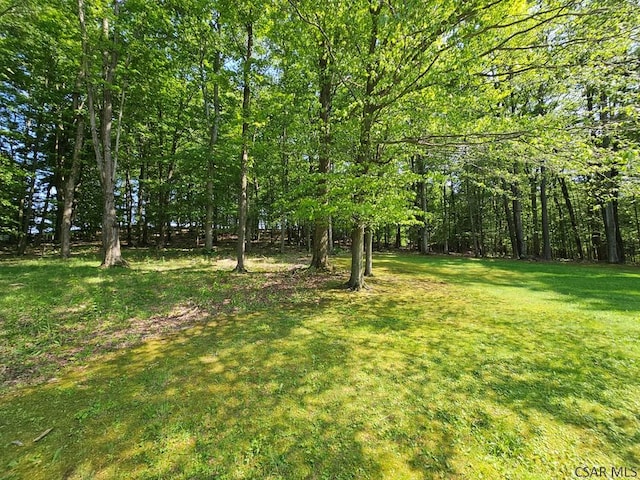 1827 Saylor School Rd, Boswell, PA 15531 - view of green lawn
