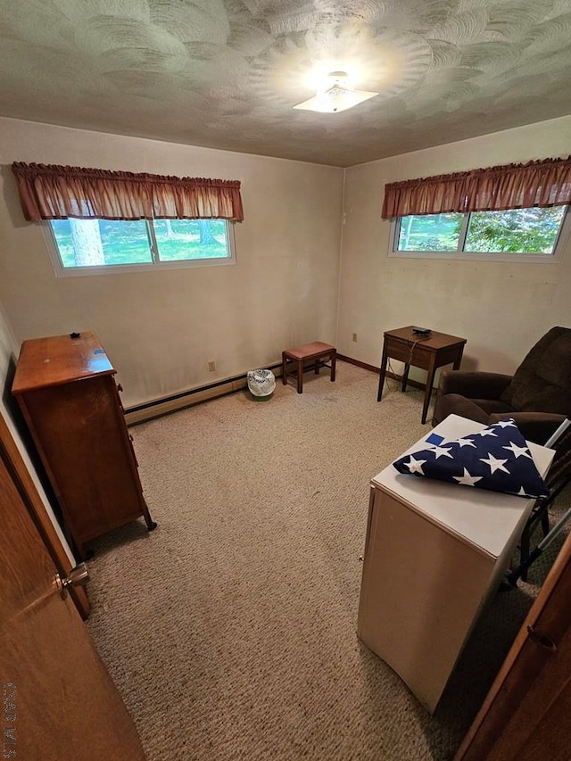 1827 Saylor School Rd, Boswell, PA 15531 - living area featuring carpet flooring, healthy amount of natural light, and a baseboard heating unit