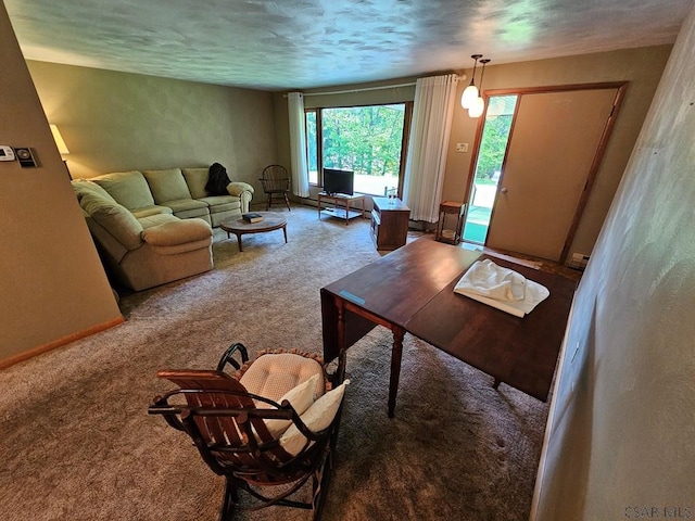 1827 Saylor School Rd, Boswell, PA 15531 - living area with carpet, baseboards, and a textured ceiling