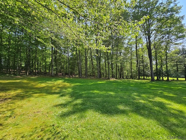 1827 Saylor School Rd, Boswell, PA 15531 - view of green lawn
