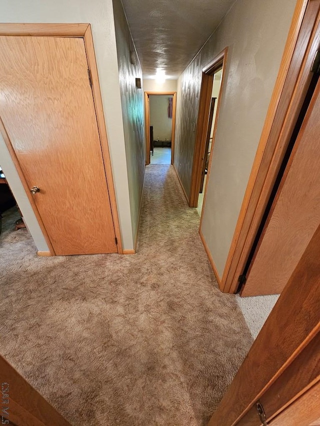 1827 Saylor School Rd, Boswell, PA 15531 - corridor with carpet flooring and baseboards