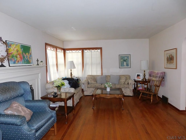 living room featuring wood-type flooring