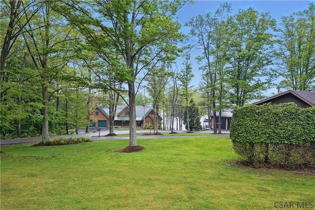 112 Ottawa Ln, Central City, PA 15926 - view of green lawn