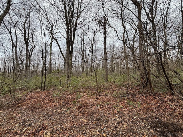 LOT64 Blueberry Way Unit Lot64, Central City, PA 15926 - photo 2