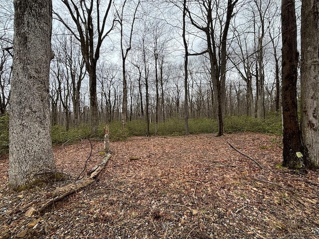 LOT64 Blueberry Way Unit Lot64, Central City, PA 15926 - photo 1
