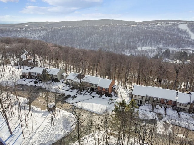 snowy aerial view with a view of trees