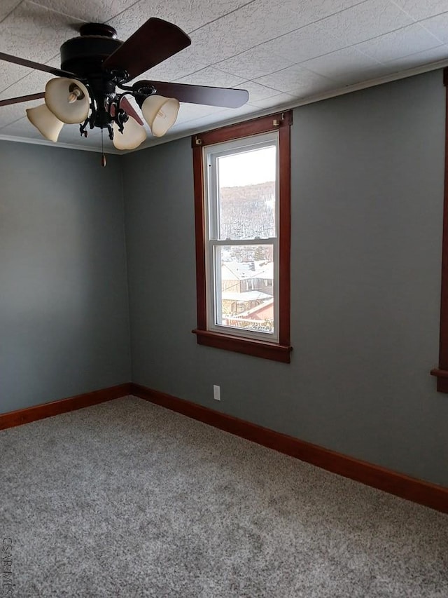 carpeted spare room with ornamental molding and ceiling fan