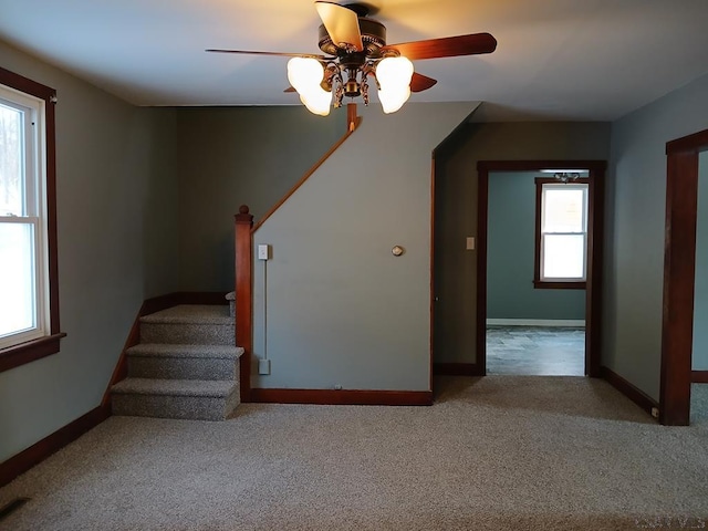 staircase featuring a wealth of natural light and carpet