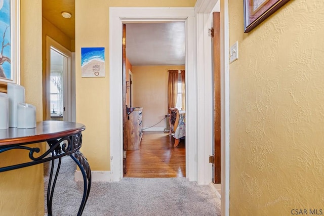 corridor featuring baseboards, carpet flooring, and a textured wall