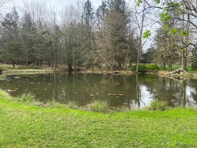 909 Snake Rd, Ebensburg, PA 15931 - water view
