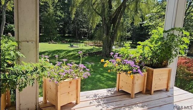 909 Snake Rd, Ebensburg, PA 15931 - view of grassy yard with a wooden deck