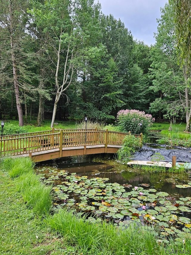909 Snake Rd, Ebensburg, PA 15931 - view of yard with a wooded view