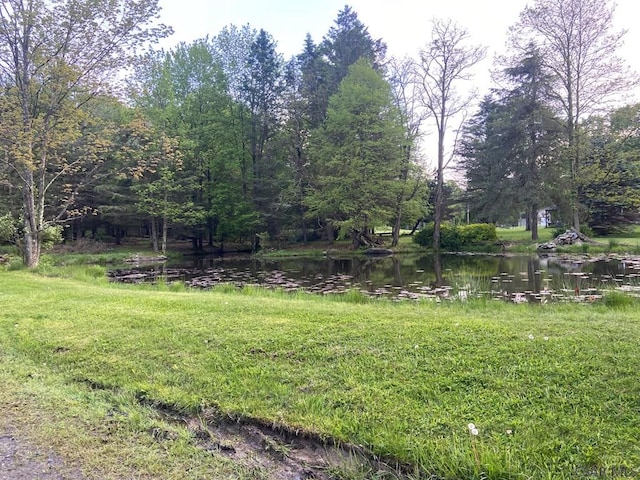 909 Snake Rd, Ebensburg, PA 15931 - view of yard with a water view
