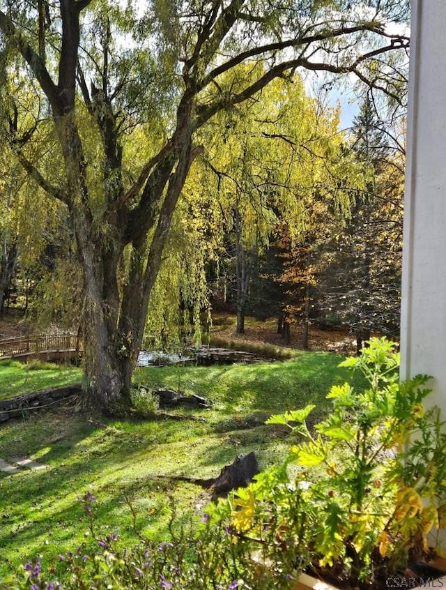 909 Snake Rd, Ebensburg, PA 15931 - view of green lawn