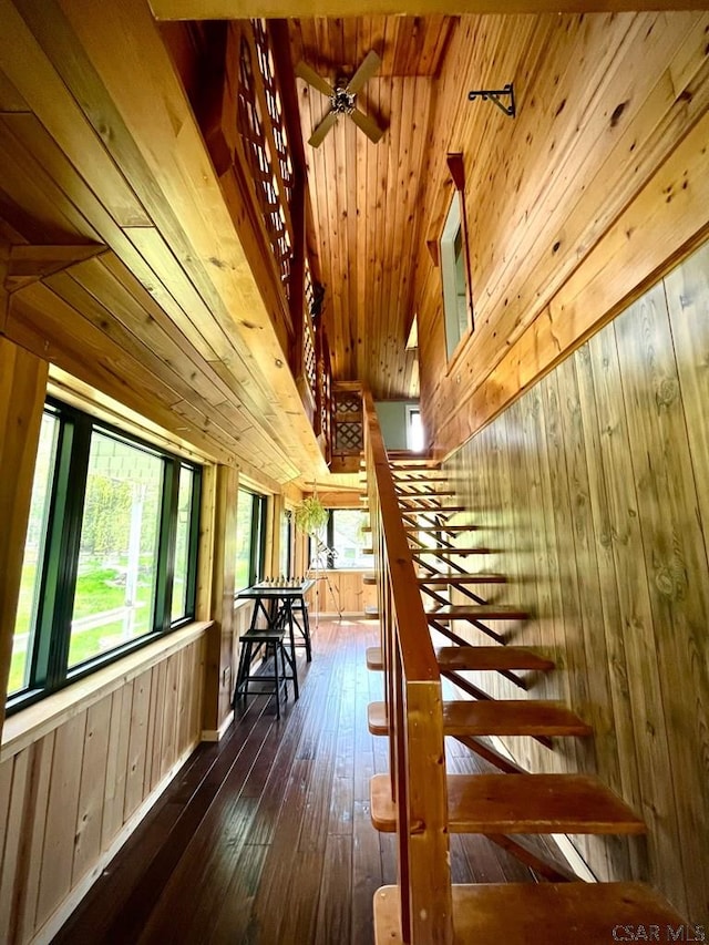 909 Snake Rd, Ebensburg, PA 15931 - staircase featuring wooden walls, wood-type flooring, and ceiling fan
