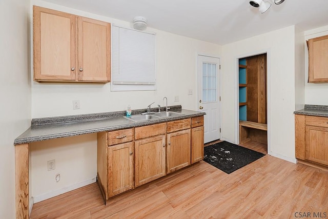 kitchen with light hardwood / wood-style floors and sink