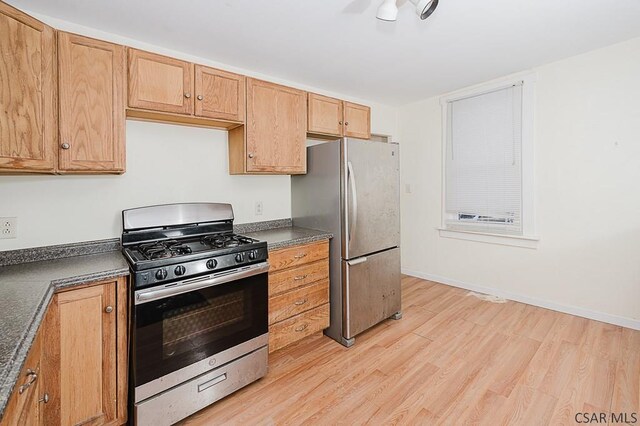 kitchen with light hardwood / wood-style flooring and stainless steel appliances