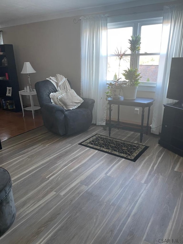 living area with wood-type flooring