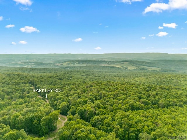 Barkley, Addison, PA 15411 - photo 15
