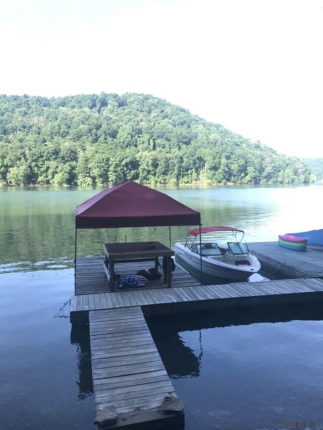 dock area with a water view