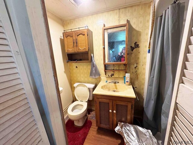 1840 Soap Hollow Rd, Tire Hill, PA 15959 - bathroom featuring wood finished floors, toilet, vanity, ornamental molding, and a shower with curtain