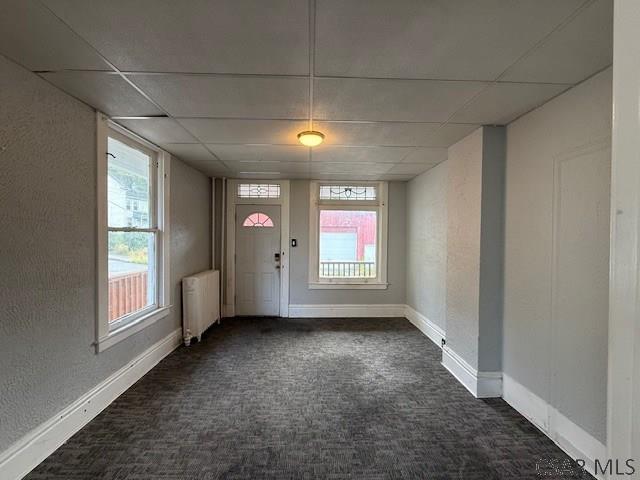 111-113 Peter St, Johnstown, PA 15901 - photo 4