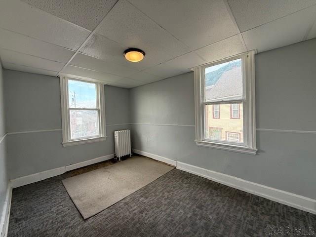 111-113 Peter St, Johnstown, PA 15901 - photo 16