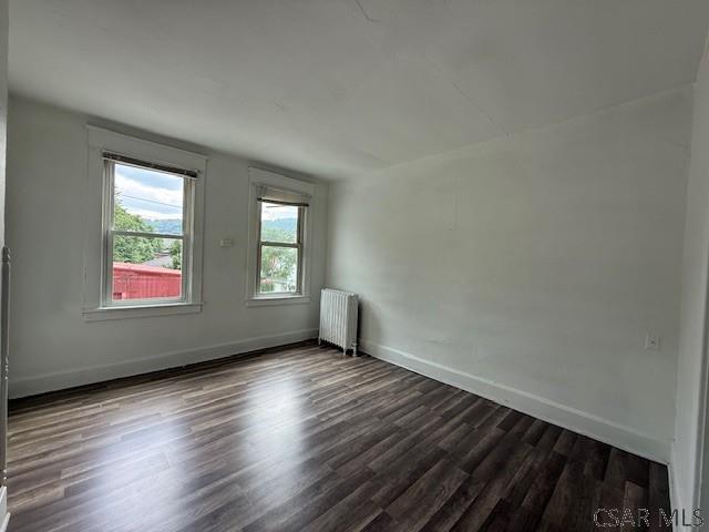 111-113 Peter St, Johnstown, PA 15901 - photo 43