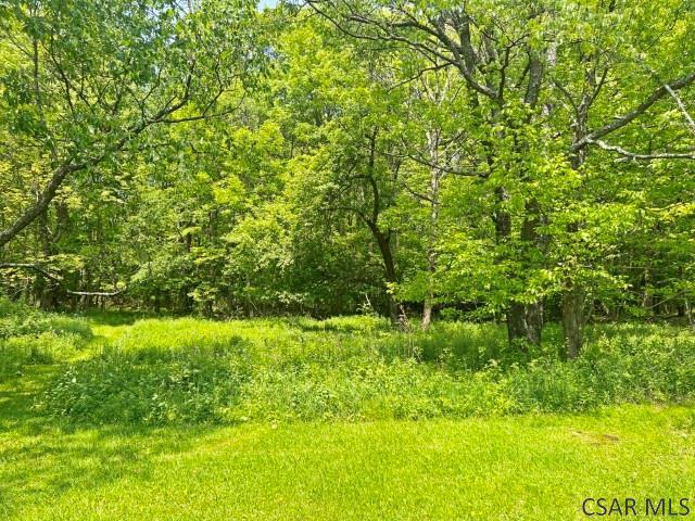 1310 Krayn Rd, Windber, PA 15963 - view of wooded area