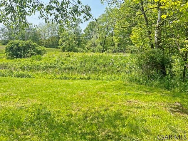 1310 Krayn Rd, Windber, PA 15963 - view of yard