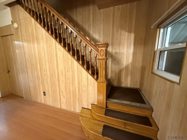 stairs with hardwood / wood-style floors and wooden walls